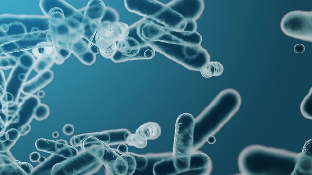 Enterobacteriaceae, gram-negative rod-shaped bacteria, part of intestinal microbiome and causative agents of different infections, 3D rendering. Escherichia coli, Klebsiella, Enterobacter and other