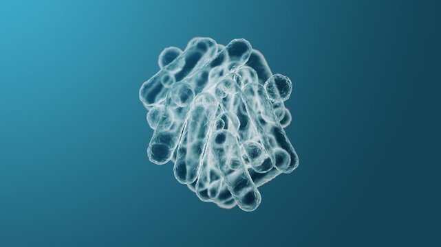 Enterobacteriaceae, gram-negative rod-shaped bacteria, part of intestinal microbiome and causative agents of different infections, 3D rendering. Escherichia coli, Klebsiella, Enterobacter and other