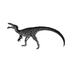Fototapeta premium Masiakasaurus hand drawing vector isolated on background.