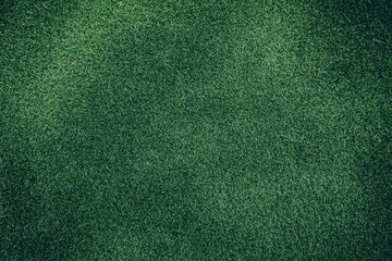 Fototapeta premium Grass field background, green grass, green background