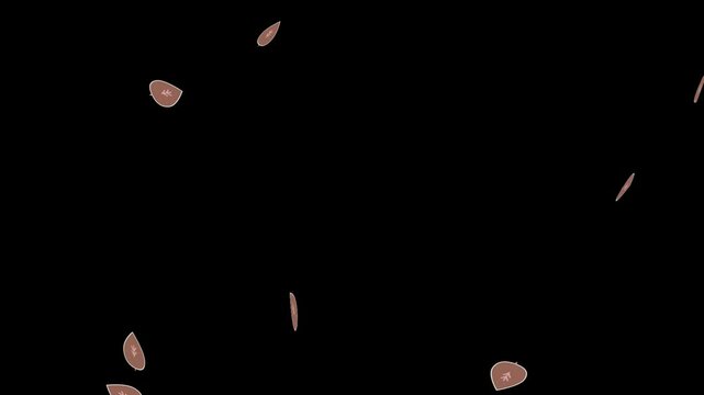 落ち葉のエフェクト,茶色