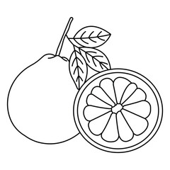 Realistic pomelo. Shaddock fruit with green rind and yellow pulp whole half and leaves isolated on white background, citrus maxima vector illustration