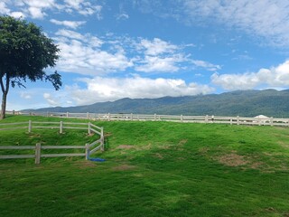 field and blue sky