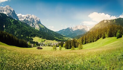 Obraz premium A breathtaking panorama of an alpine valley with lush meadows, towering mountains, and a scattering of trees. The scene is bathed in golden sunlight, creating a sense of serenity and wonder.