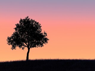 A solitary tree stands against a vibrant sunset sky, creating a serene silhouette on a gentle hill.