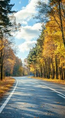 Obraz premium Autumn landscape on the highway in colorful forest. nature trip in fall. highway landscape on fall season
