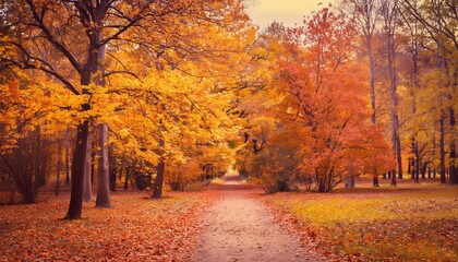Fototapeta premium Autumn Path Through Golden Forest adorned with golden and red leaves