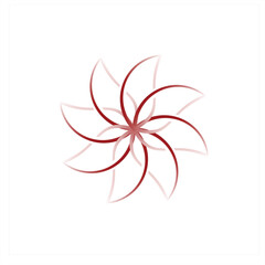 Fototapeta premium A charming, beautiful and unique floral design