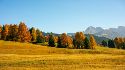 Alpe di Siusi the high plateau in the heart of the Dolomites is a natural paradise in autumn