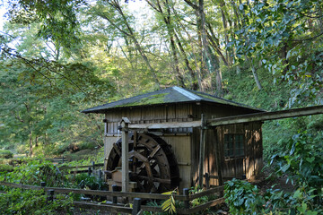 町田薬師池公園の水車
