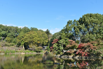 町田薬師池公園の薬師池

