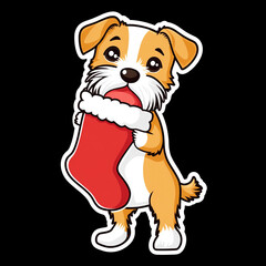 Fototapeta premium Border Terrier Dog Holding A Christmas Stocking With