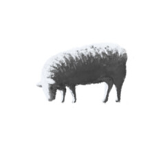 sheep lamb design PNG file illustration