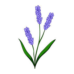 Obraz premium bud flower branch cartoon. perennial annual, shrub tree, leaf greenery bud flower branch sign. isolated symbol vector illustration