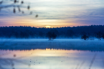Obraz premium Sunrise in autumn over the moor. The fog rises above the water and the last birds migrate towards Africa.