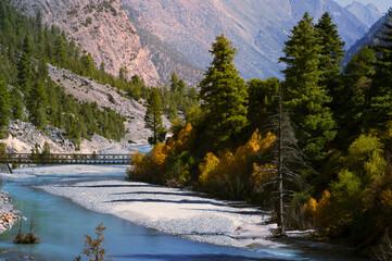 The river in the forest. Miyar Valley is a remote and scenic valley in the Western Himalayas. The Lahaul Range is located between Pir Panjal and the Zanskar Range in Himachal Pradesh, India.
