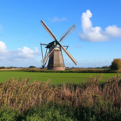 Fototapeta premium dutch windmill in the field
