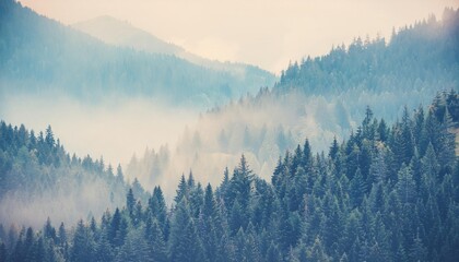Fototapeta premium A panoramic view of a lush mountain forest blanketed in a thick layer of mist, creating a serene and enchanting atmosphere.
