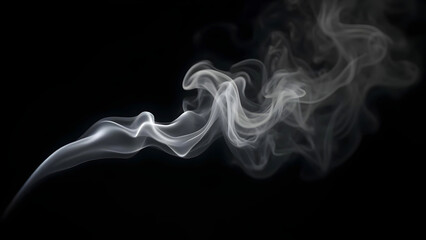 Fototapeta premium smoke on black background