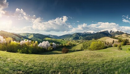 Fototapeta premium A lush green meadow nestled at the foot of majestic mountains under a bright, blue sky.