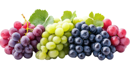 ไม่มีชื่อ (4000 x 5000 px) - 1