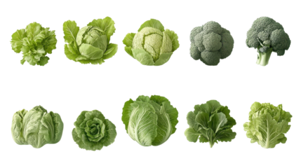 ไม่มีชื่อ (4000 x 5000 px) - 81