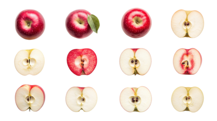 ไม่มีชื่อ (4000 x 5000 px) - 62