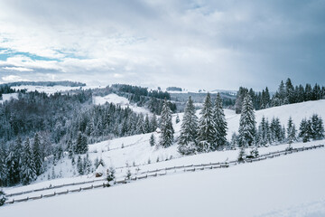 Snow-Covered Forested Hills and Mountainous Landscape on a Winter Day