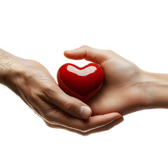 Obraz premium Hands Holding a Red Heart Symbol of Love and Care