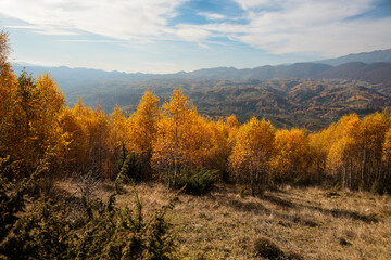 Scenic autumn overview of Magura village in Romania, near the Piatra Craiului mountains