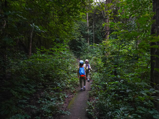 Children hiking in the mountains or forests with backpacks in the rainy season and walking sticks.