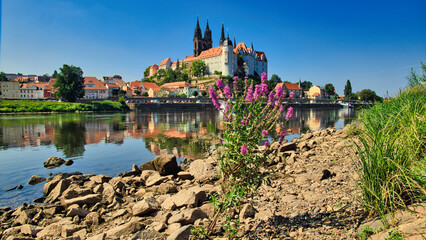 Albrechtsburg Meissen - Meißen - Sachsen - Deutschland - Höhenburg - Spätgotisch - Stadtansicht...