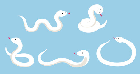 白蛇のベクターイラストセット。干支、十二支、へび、年賀	