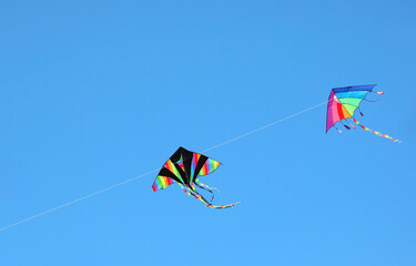 two colorful kites with rainbow colors flying together high in the sky