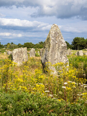 Large menhirs - neolithic standing stones in Carnac, Brittany