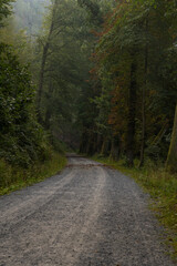 Wanderweg im Polenztal bei Hohnstein in der S&auml;chsischen Schweiz 3