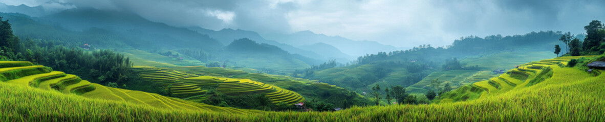 Obraz premium Lush green rice terraces in panoramic landscape, showcasing beauty of nature in Asia. misty mountains create serene atmosphere, perfect for relaxation