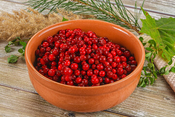 Natural organic wild forwst lingonberry