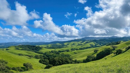 Fototapeta premium Vibrant rolling green hills create a stunning landscape under a bright blue sky adorned with fluffy white clouds. Perfect for serene outdoor imagery with ample copy space.