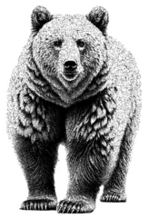 Majestic Stippled Dotwork Bear Illustration with Detailed Fur with clipping path. © Hnnylanb