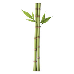 Obraz premium 3D illustration of tall bamboo stems with multiple green leaves, showcasing a realistic and elegant natural design. Isolated on transparent background, png.