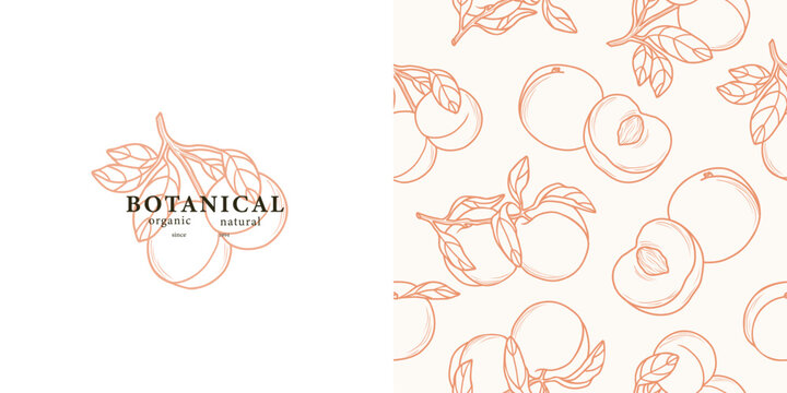 Line art peach fruit seamless pattern and logo
