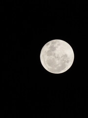Obraz premium A close-up of the full moon against a black night sky, showcasing detailed craters and textures. The bright, luminous moon contrasts sharply with the dark background, perfect for astronomy and night t