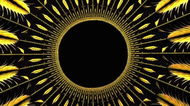 Luxury gold circle element for logo, text placement. Loop able background