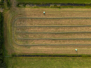 Harvest of grass in agriculture fields in the Netherlands