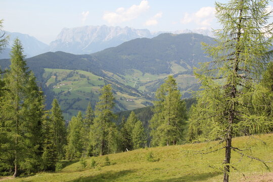 Ausblick auf Berge in &Ouml;sterreich