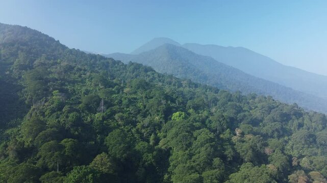 Forest and mountains. Aerial view of Mount Gede Pangrango in the morning with blue sky in Puncak, West Java. Puncak Bogor nature tourism area.