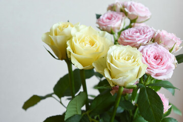 ピンクと黄色のばら