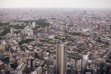 Fototapeta premium Aerial view of Tokyo's sprawling urban landscape with high-rise buildings, dense neighborhoods, and patches of green spaces