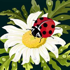 Ladybug on white chamomile.Vector illustration with a ladybug on a camomile on a colored background.
